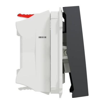  Poussoir lum local 10A 2m Anth 