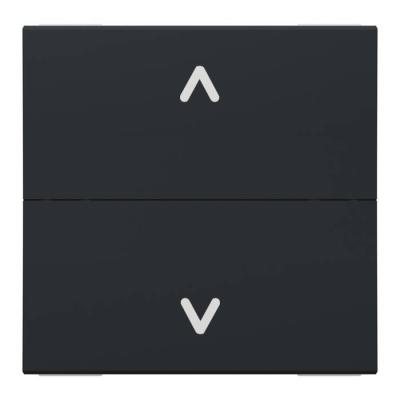  Cde VR double pous 2m Anth 