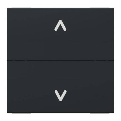  Cde VR double pous 2m Anth 