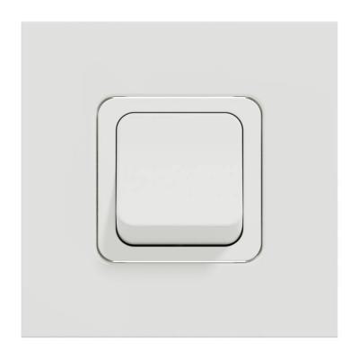  Inter bipolaire 20A 2m Blanc 