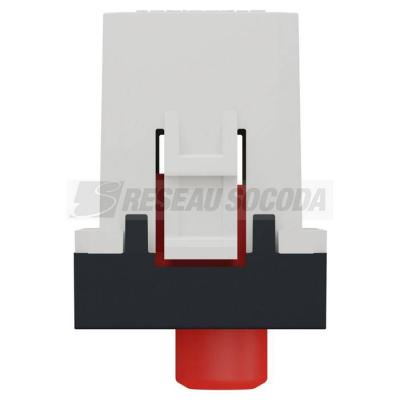  Prise RCA triple 1m Anth 