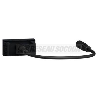  Prise mini jack 3,5 mm 1m Anth 