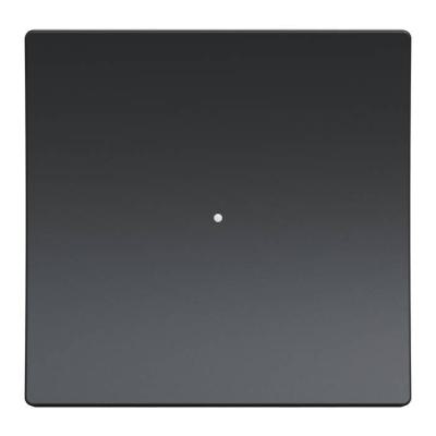  BP zigbee 10A anthracite 