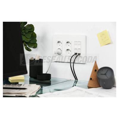  Prise 1 RJ45 S-One 1m Anth 