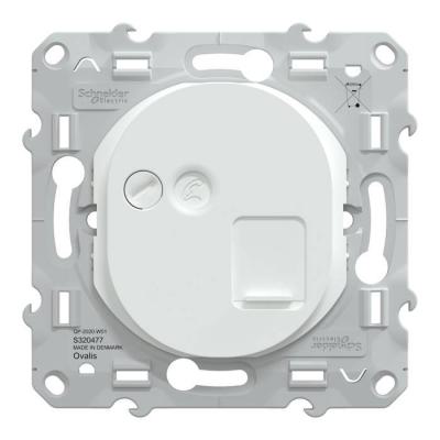  RJ45 CAT6a STP Blanc 