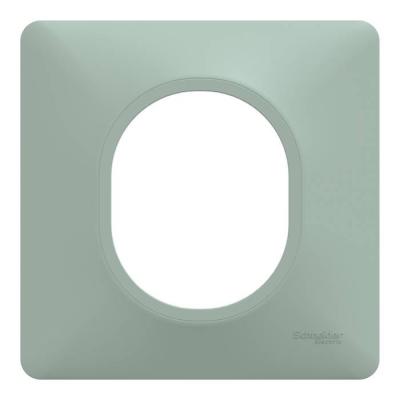  Plaque 1 poste Sauge 