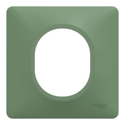  Plaque 1 poste Vert F 