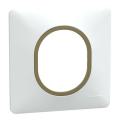  Plaque 1 poste Blanc Laiton 