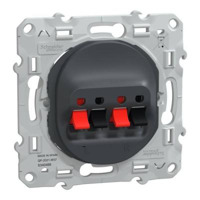  Prise HP 2 sorties Anthracite 