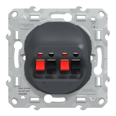  Prise HP 2 sorties Anthracite 