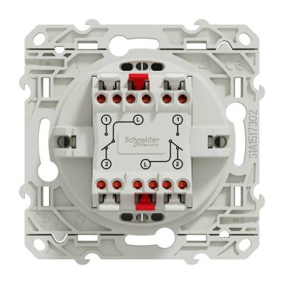  Odace 2011 DBL VV BLC RAP VIS 