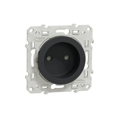  Odace 2011 PC 2P ANTH VIS RAP 