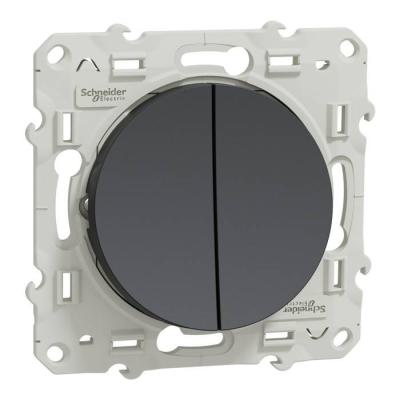  Odace 2011 DBL VV ANTH VIS RAP 