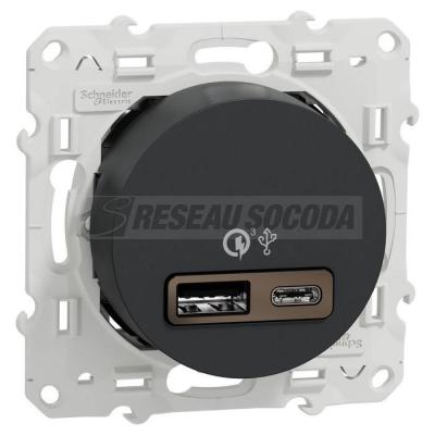  Odace 2011 Prise USB A+C rapid 