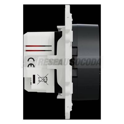  Odace 2011 Prise USB A+C rapid 