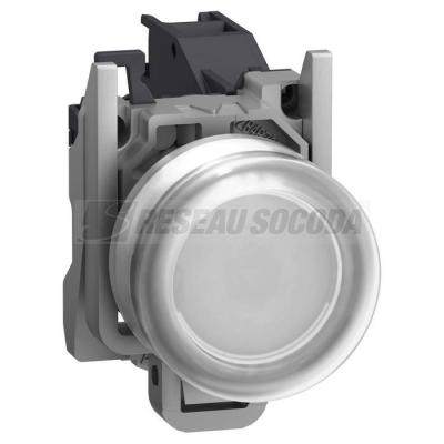  AEx BP AF CAPUCHONNE BLAN 