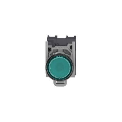  AEx BPL CAPUCHONNE VERT 2 
