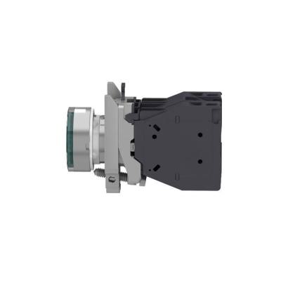  AEx BPL CAPUCHONNE VERT 2 