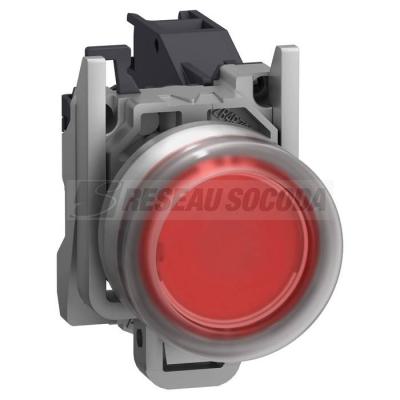  AEx BP AF CAPUCHONNE ROUG 