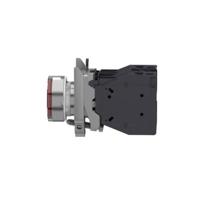  AEx BPL CAPUCHONNE ROUGE 