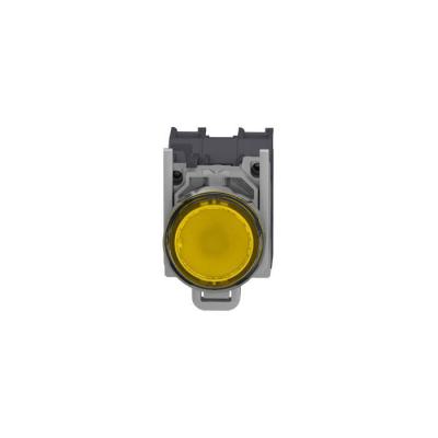  AEx BPL CAPUCHONNE JAUNE 