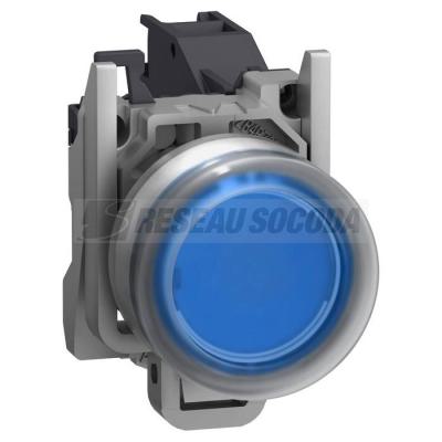  AEx BP AF CAPUCHONNE BLEU 