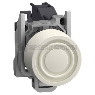  AEx BP AF CAPUCHON BLANC 
