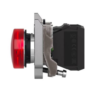  VOYANT DELROUGE 24V ACDC 