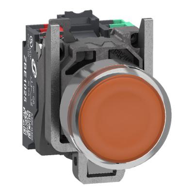  BP ORANGE PUSH IN 1F+1O 