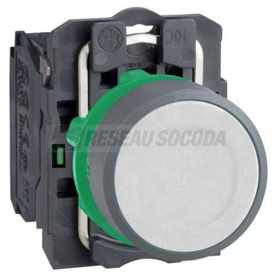  BP impulsion O22 blanc 1F 