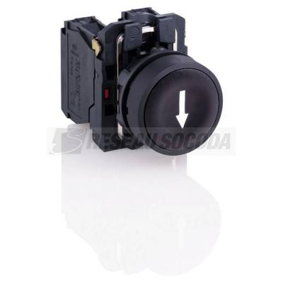  BOUTON POUSSOIR 