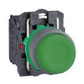  BP impuls vert capuchonn� 1F 