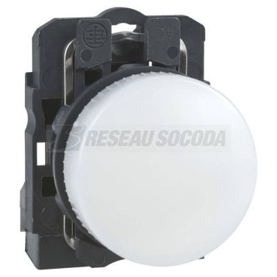  VOYANT LUMINEUX DEL 230 V 