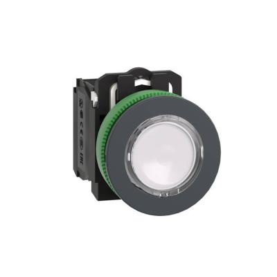  BP lum flush blanc 1O+1F 24V 