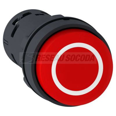 BP dpass rgeNO+NC O blc 