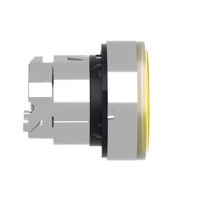  T�te B P lumin DEL aff L O22 J 
