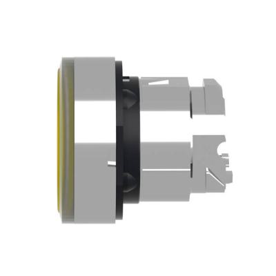  T�te B P lumin DEL aff L O22 J 