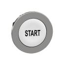  t�te BP flush marqu� blanc 
