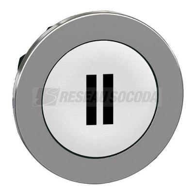  t�te BP flush marqu� blanc 