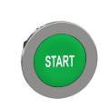  t�te BP flush marqu� vert 