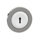  t�te BP flush marqu� blanc 