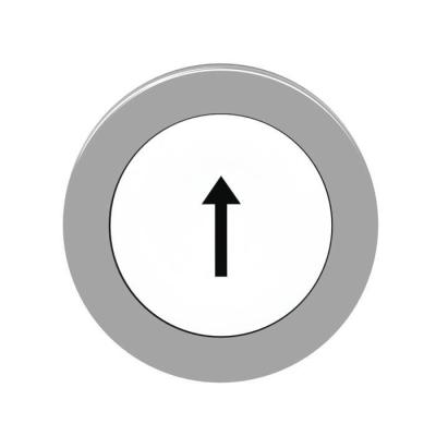  t�te BP flush marqu� blanc 