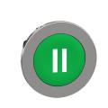 t�te BP flush marqu� vert 
