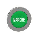  t�te BP flush marqu� vert 