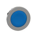  t�te BP flush bleu 