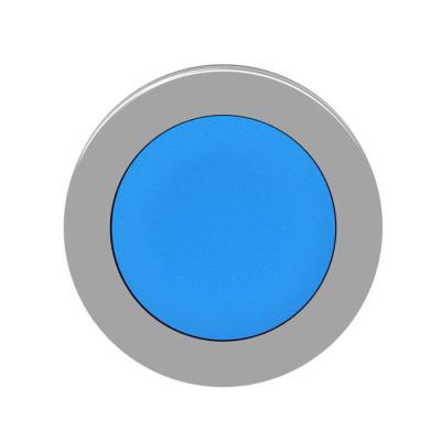  t�te BP flush bleu 