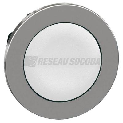  FLUSH WH CAPS PB HEAD PP 