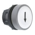  t�te BP O22 marqu� blanc 