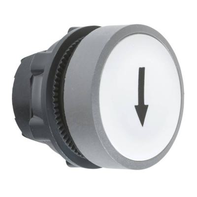  t�te BP O22 marqu� blanc 
