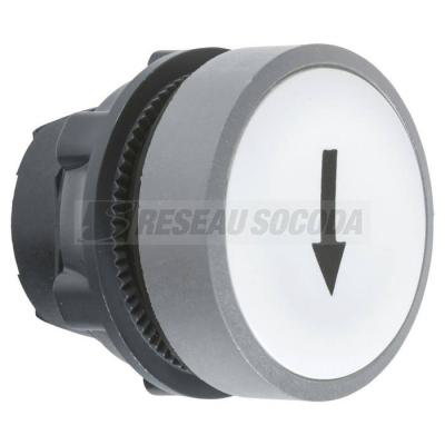  t�te BP O22 marqu� blanc 